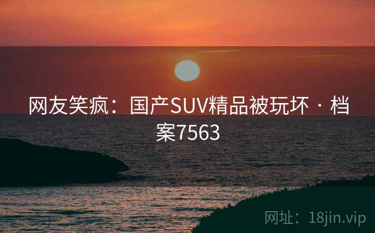 网友笑疯：国产SUV精品被玩坏 · 档案7563
