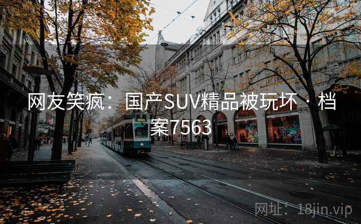 网友笑疯：国产SUV精品被玩坏 · 档案7563