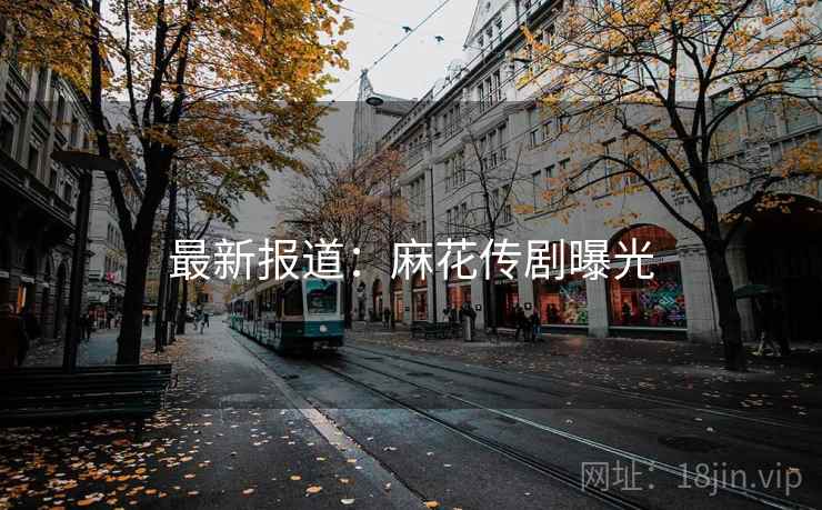 最新报道：麻花传剧曝光