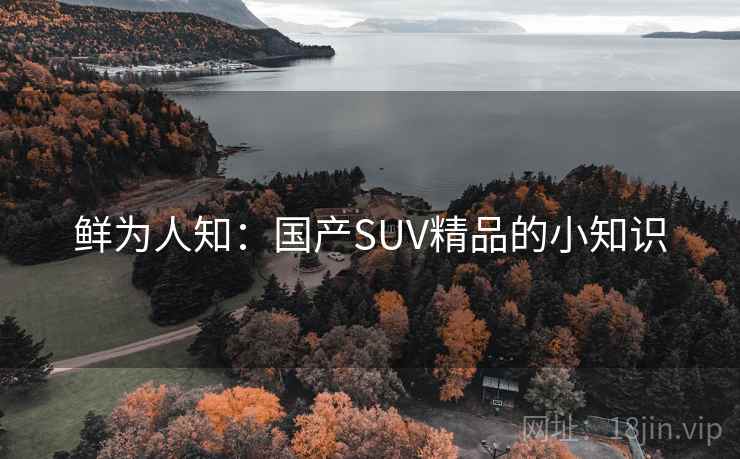 鲜为人知：国产SUV精品的小知识