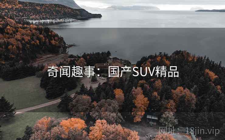 奇闻趣事：国产SUV精品