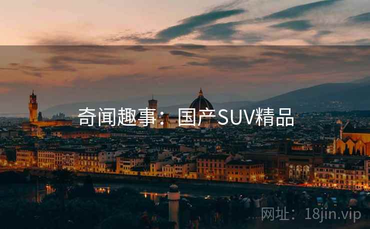 奇闻趣事：国产SUV精品